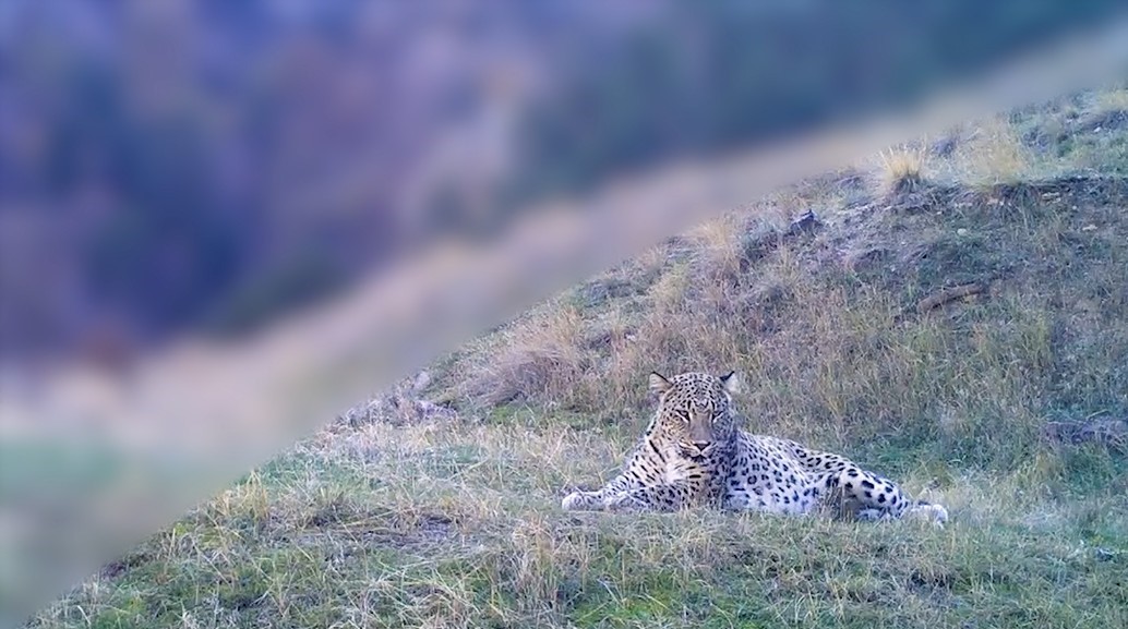 Bakan Yumaklı: "Korunan alanlarımızı bilimsel temelli stratejilerle artırıyor, geleneksel bilgiyi kayıt altına alarak k&uuml;lt&uuml;rel mirasımızı da koruyoruz"
