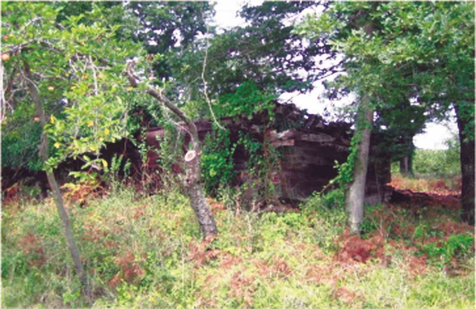 700 yıllık tarihi miras yeniden hayat buluyor