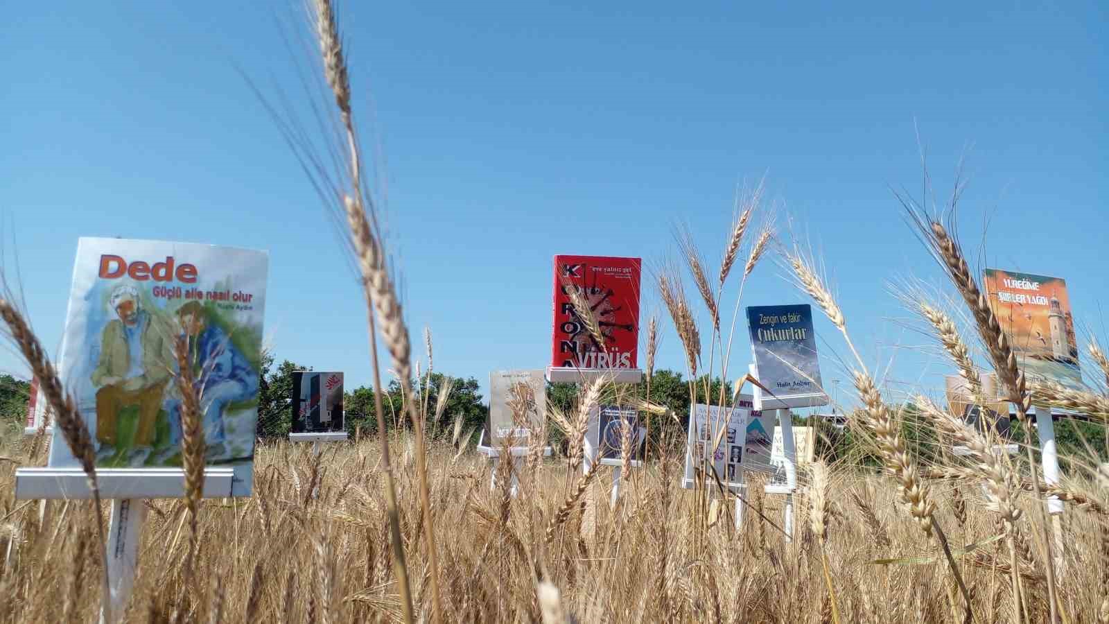 Başaklar kitap a&ccedil;tı
