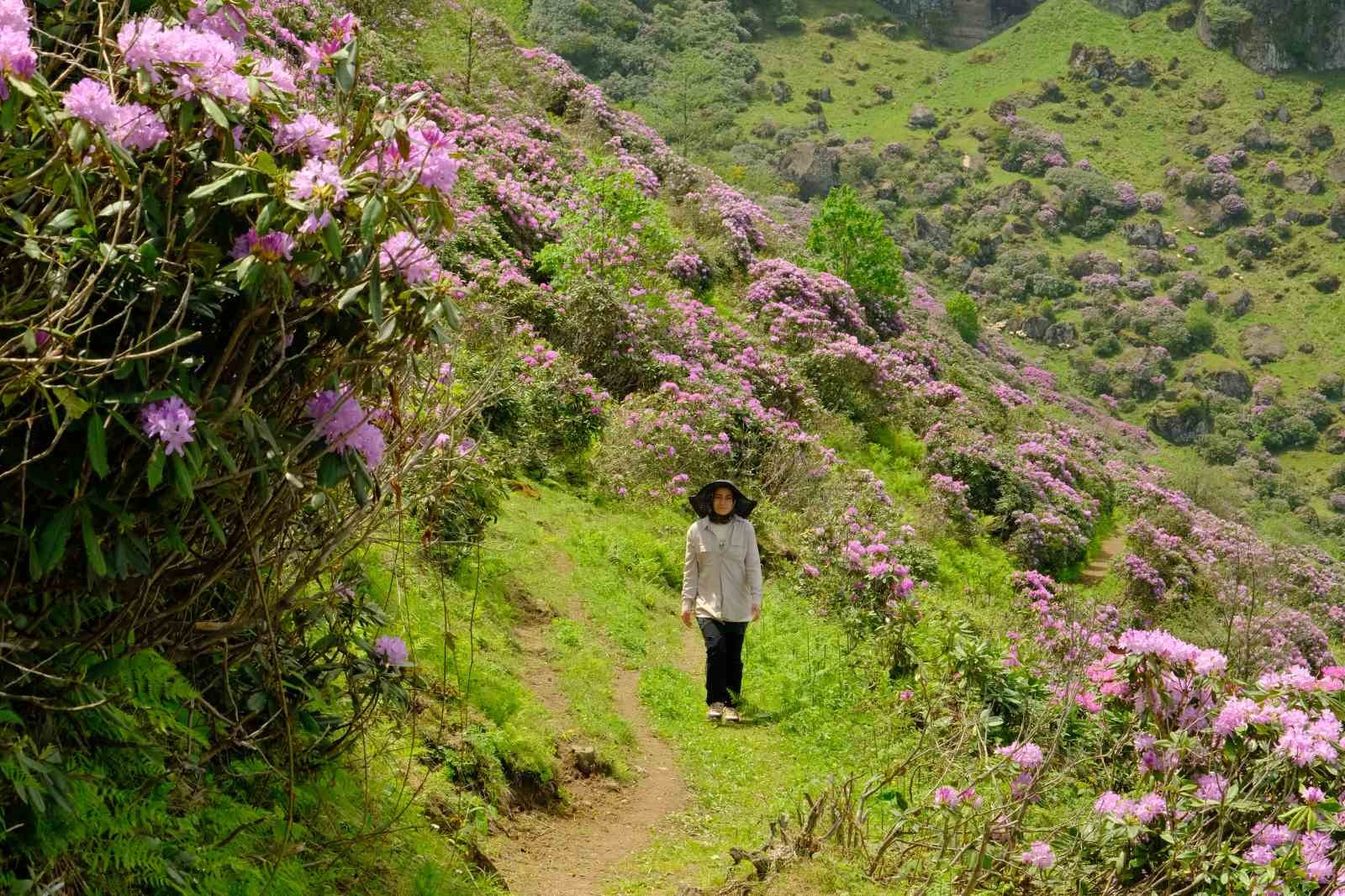 Gümüşhaneli dağcılardan Sis Dağı’na yürüyüş