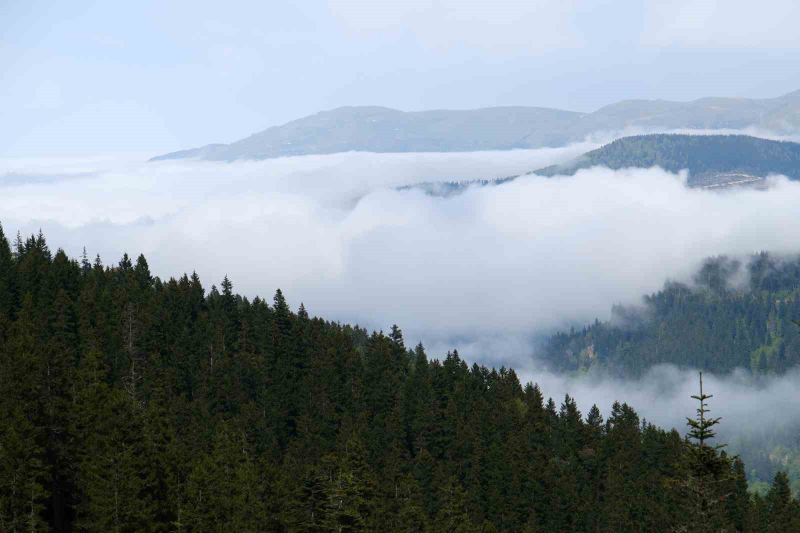 Gümüşhaneli dağcılardan Sis Dağı’na yürüyüş
