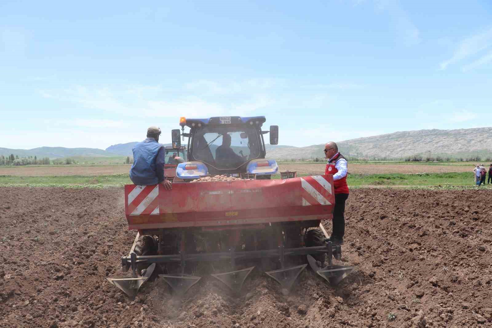 Sivas’ta tohumluk patatesler toprakla buluştu