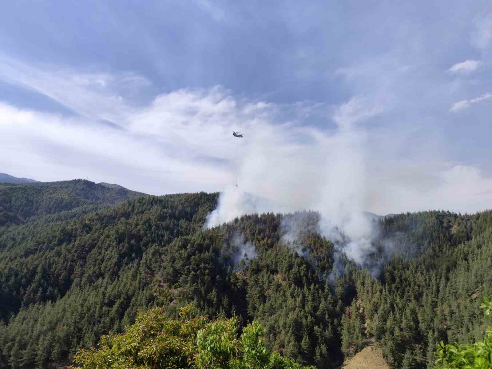 Kahramanmaraş&rsquo;ta orman yangını
