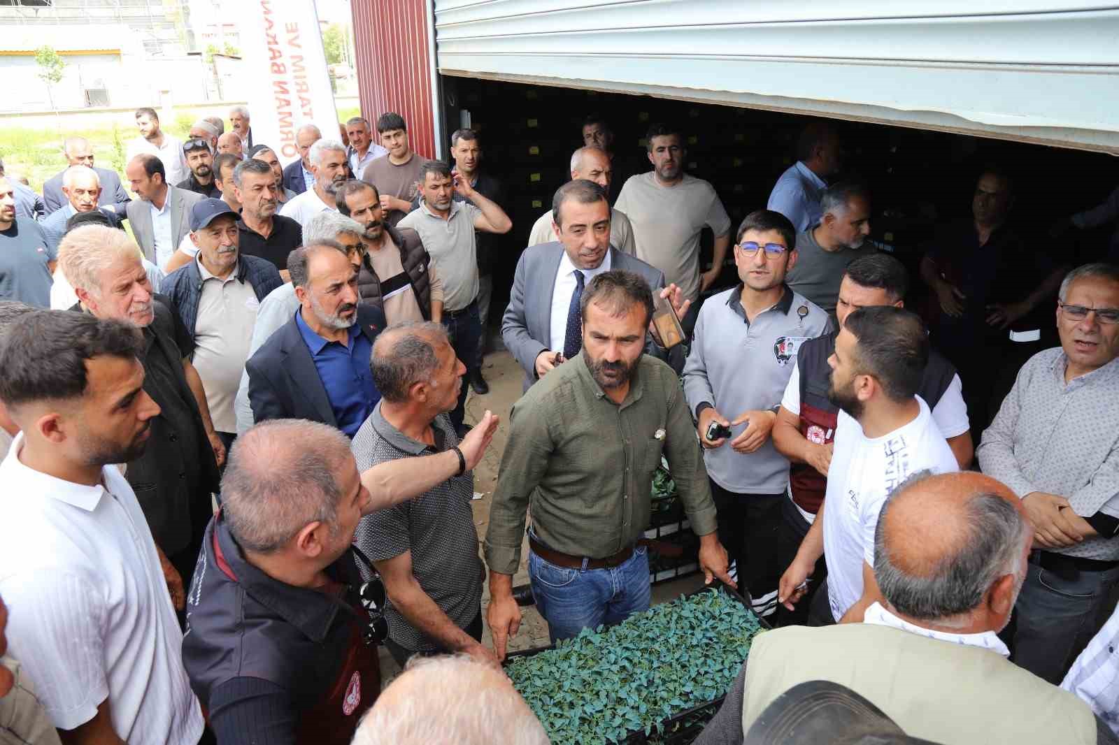 Bingöl’de üreticilere 442 bin sebze fidesi dağıtıldı