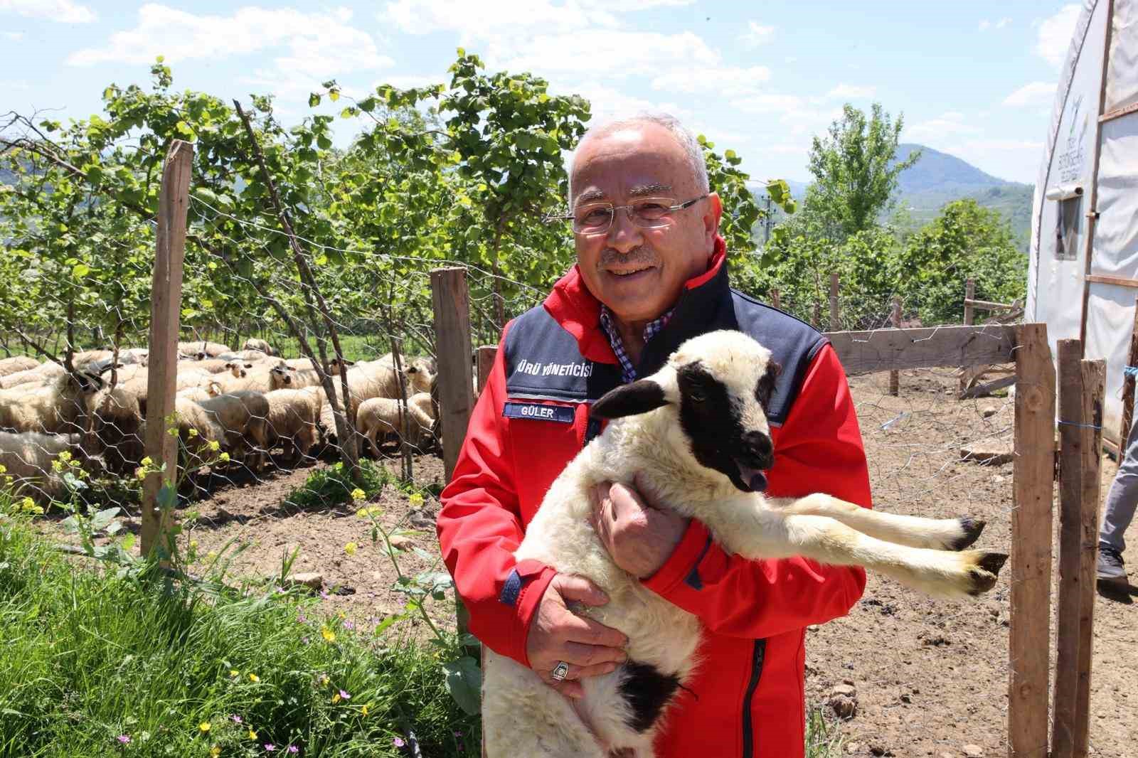 Başkan Güler: "Dağıtımını yaptığımız hayvanları kendimiz yetiştiriyoruz"