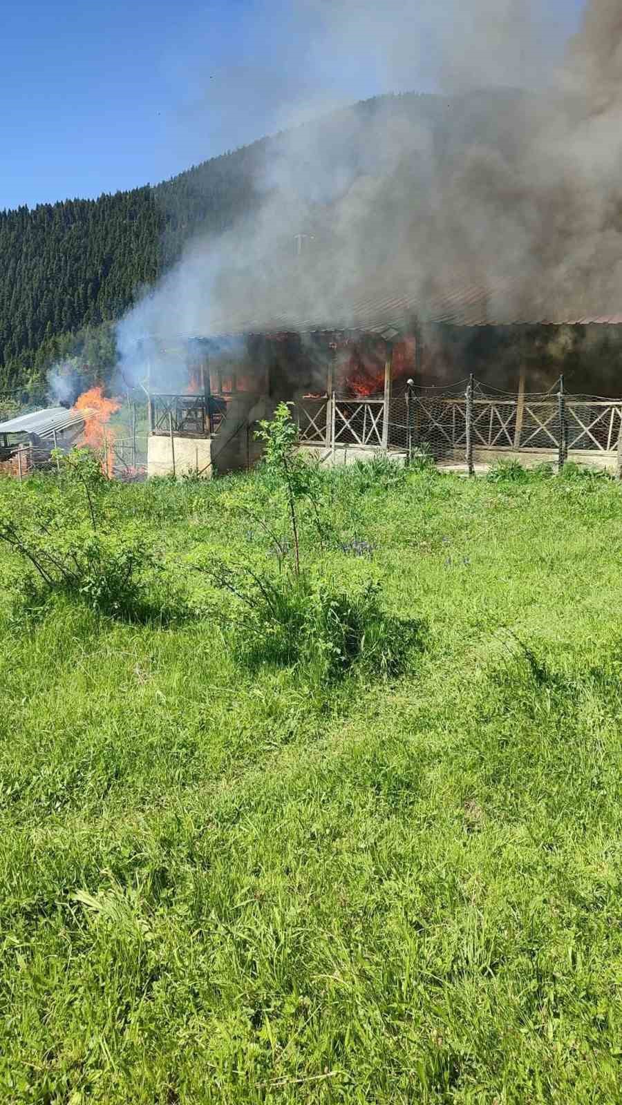 Yaşlı kadına ait ev çıkan yangında kül oldu