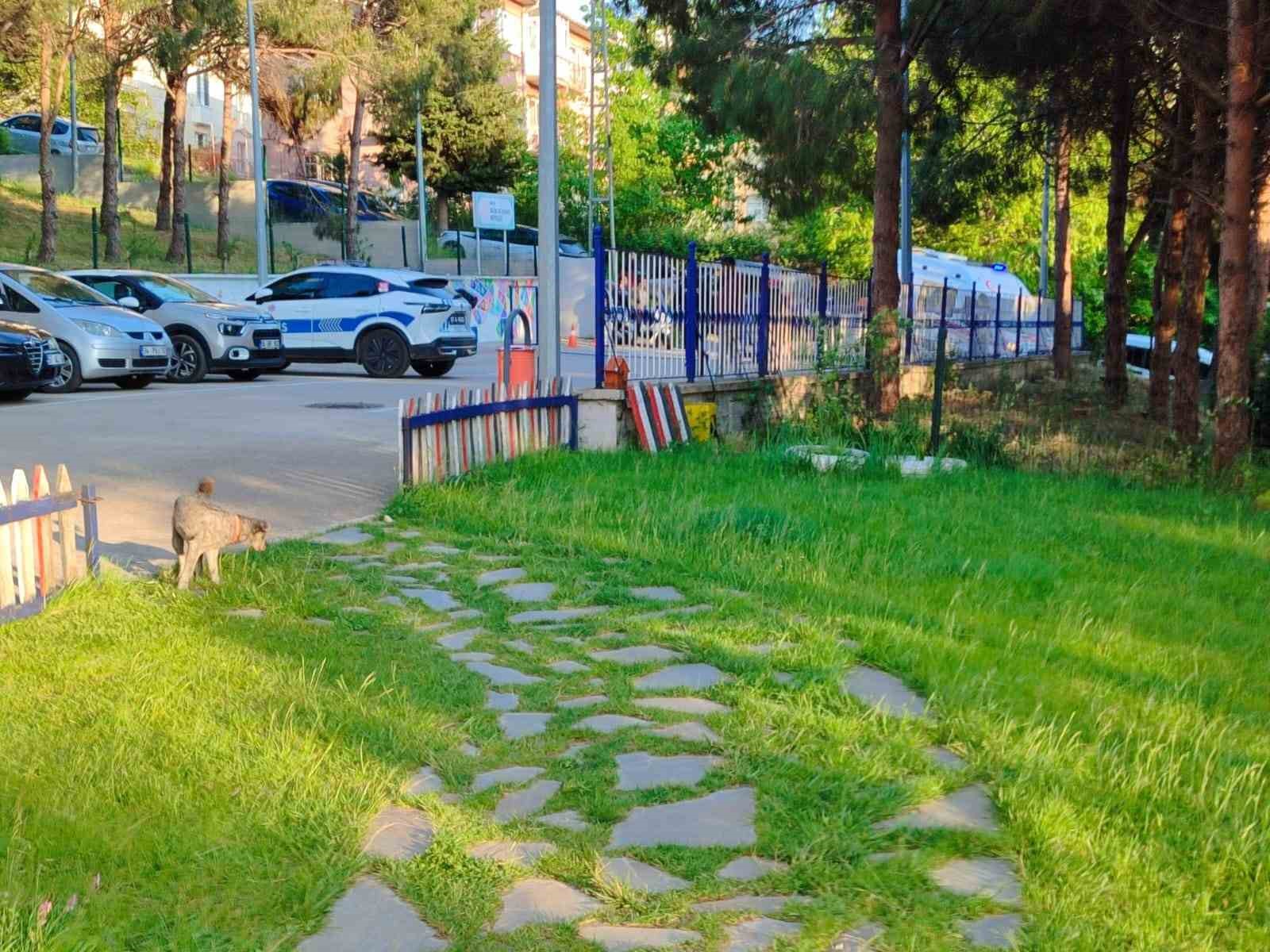 Sinop&rsquo;ta silahlı kavga: 1 yaralı
