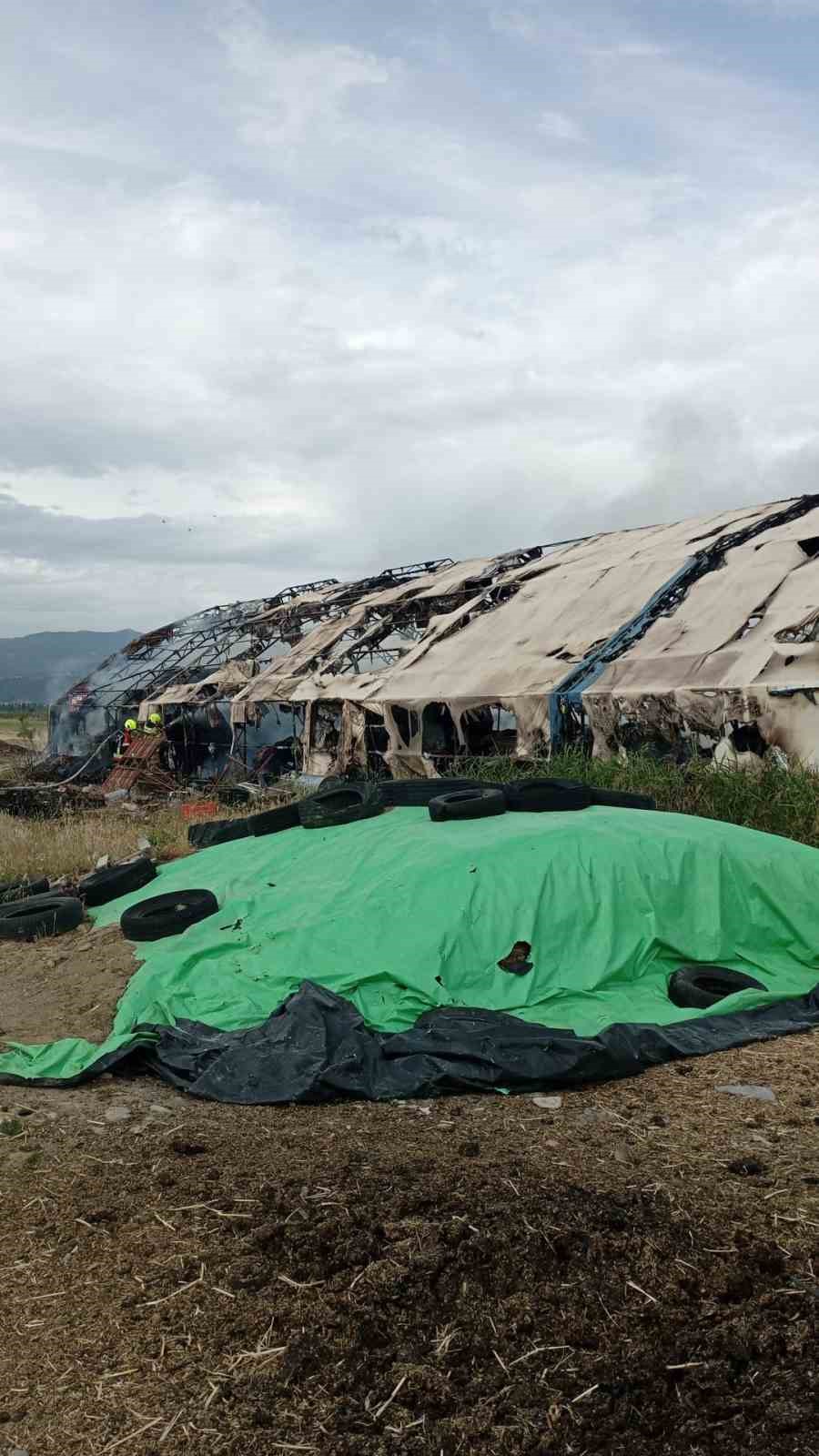 Edremit&rsquo;te &ccedil;iftlikte &ccedil;ıkan yangın itfaiye ekiplerince s&ouml;nd&uuml;r&uuml;ld&uuml;
