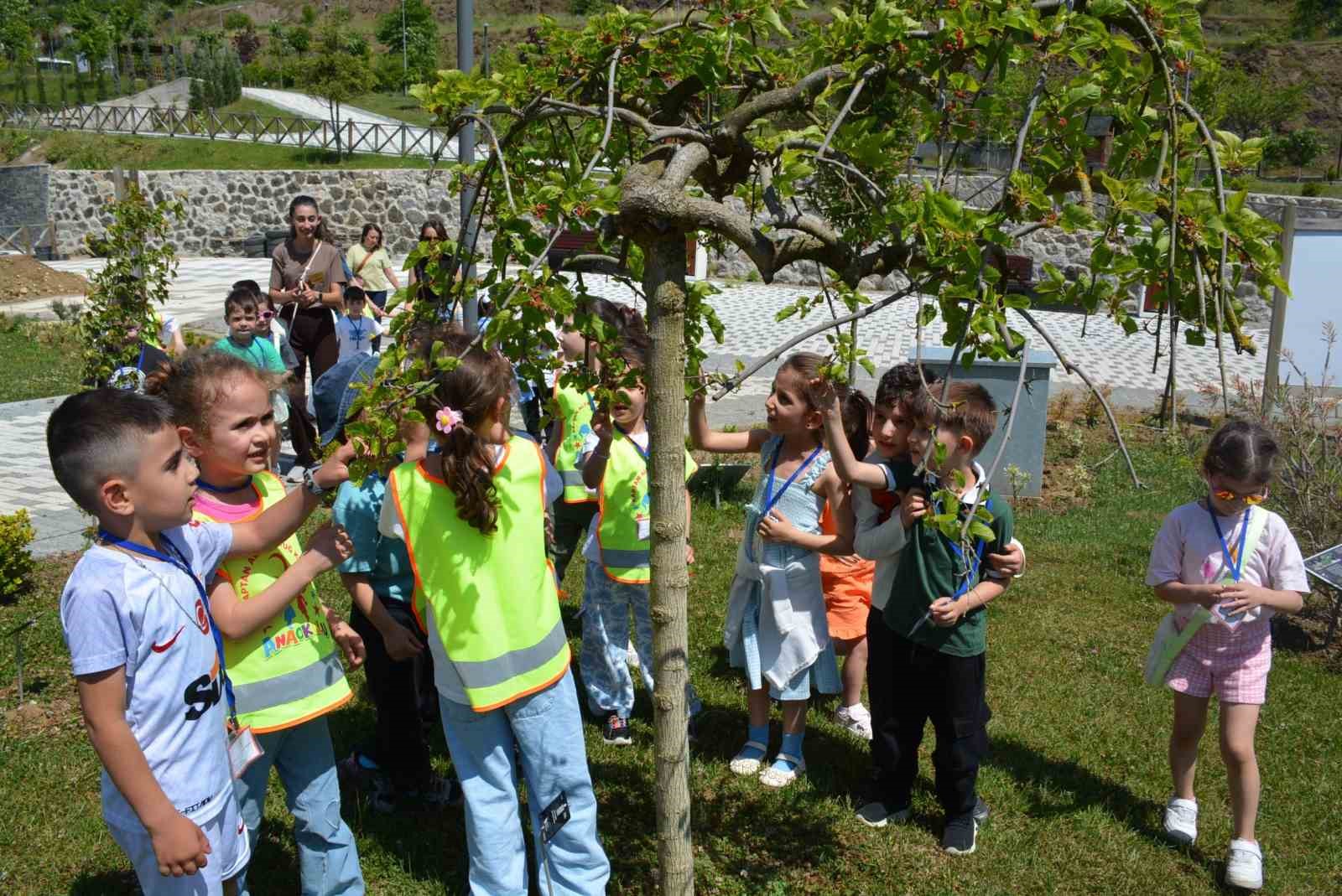 Minik öğrenciler doğayla tanıştı