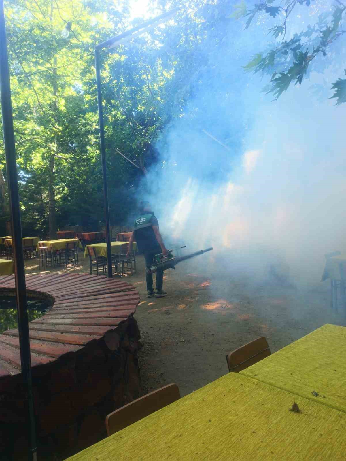 Karacasu’da sinek ve larva ilaçlaması yapıldı