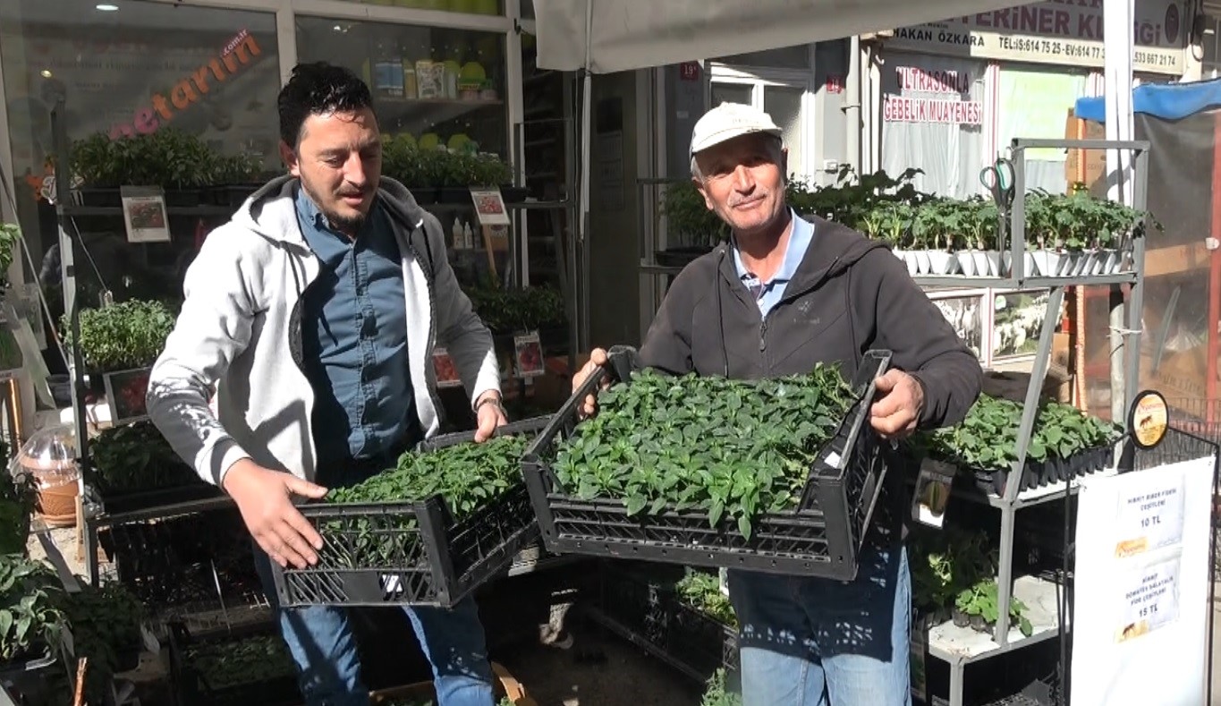 Tavşanlı’da fide çeşitliliği ile verimli sezon bekleniyor