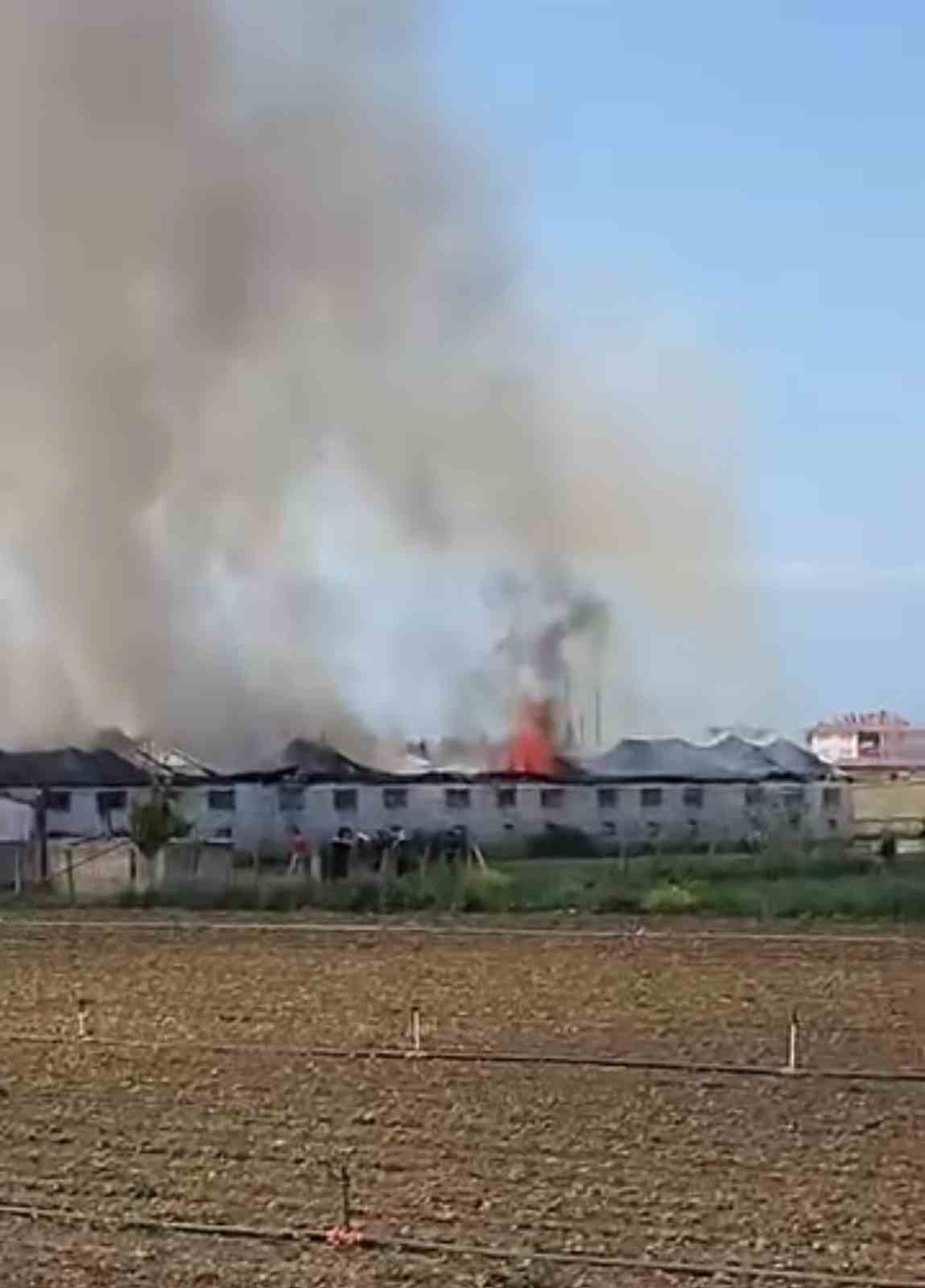 Bursa Yenişehir&rsquo;de hayvan &ccedil;iftliğinde b&uuml;y&uuml;k yangın
