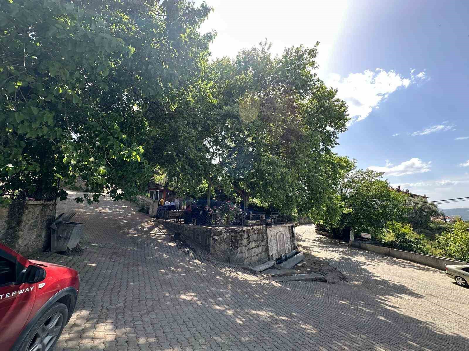 Manisa’da iki bin yıllık tarihi çınarın gölgesinde eserlerini sergilediler