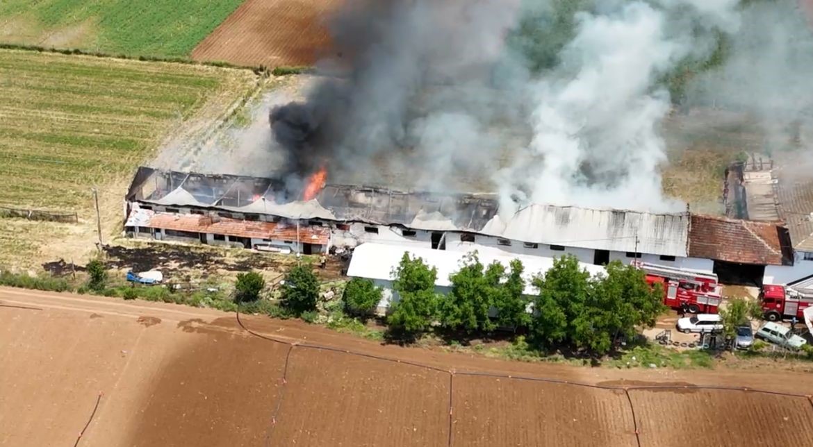 Hayvan çiftliğindeki büyük yangın havadan görüntülendi