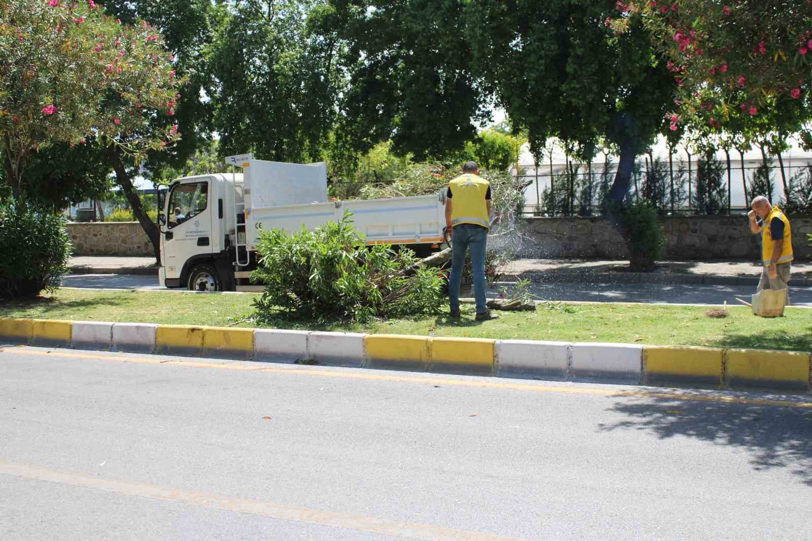 Hakimiyeti kaybolan minibüs refüjde asılı kaldı
