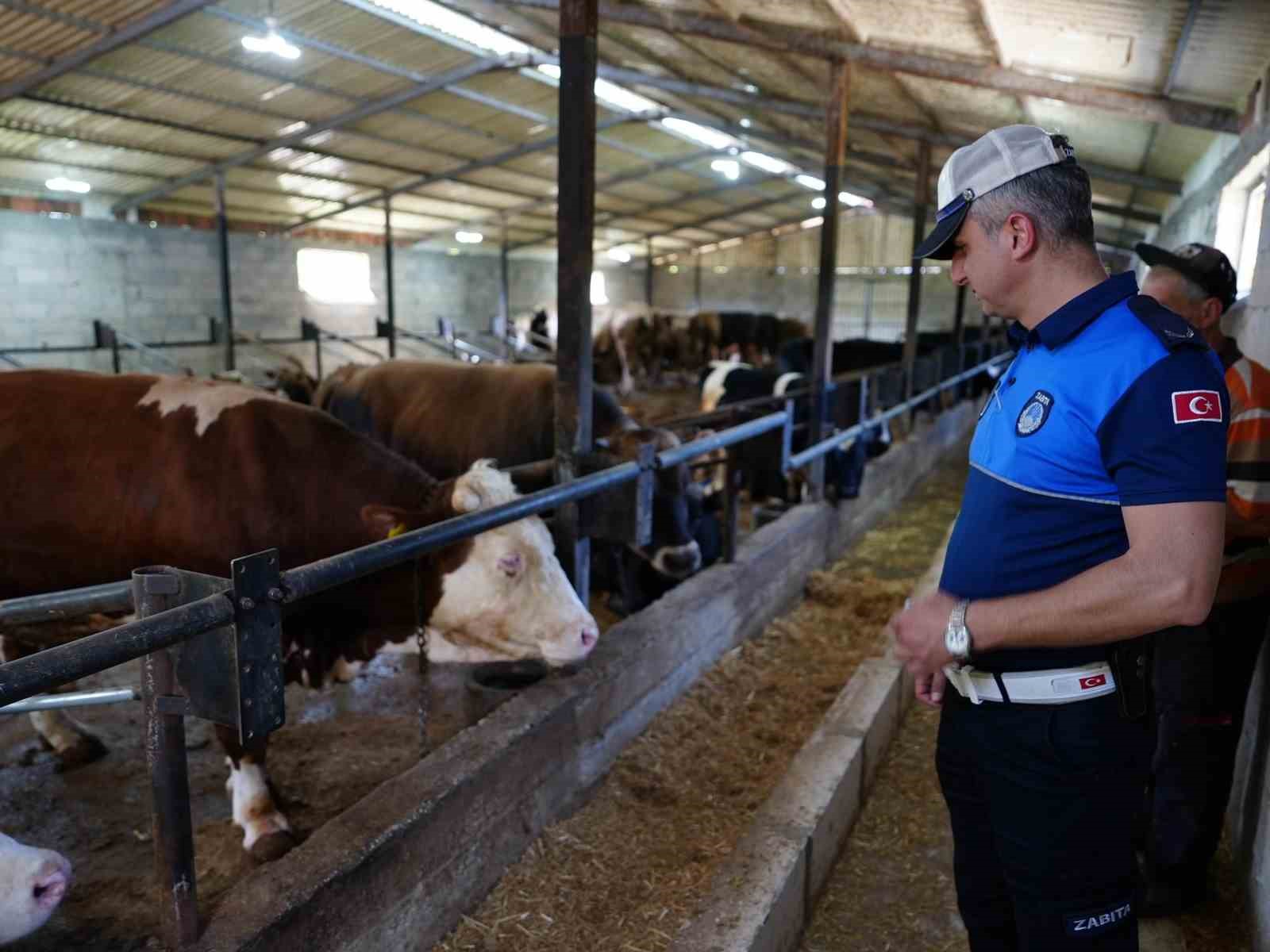 D&uuml;zce&rsquo;de denetimler bayram sonuna kadar s&uuml;recek
