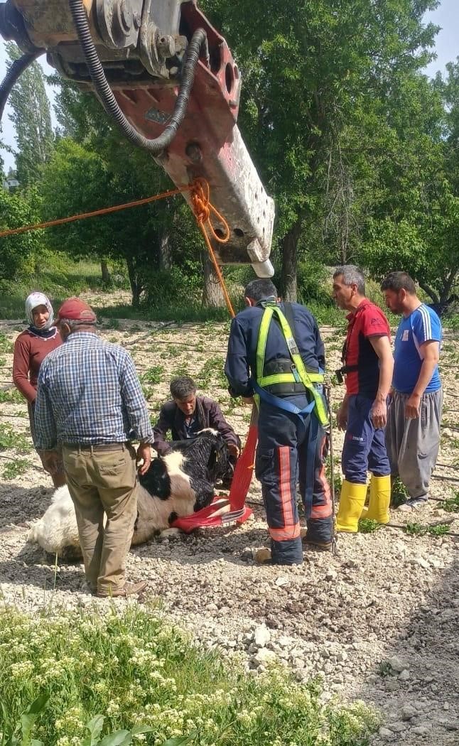 Mersin’de 10 metrelik su kuyusuna düşen danayı itfaiye kurtardı