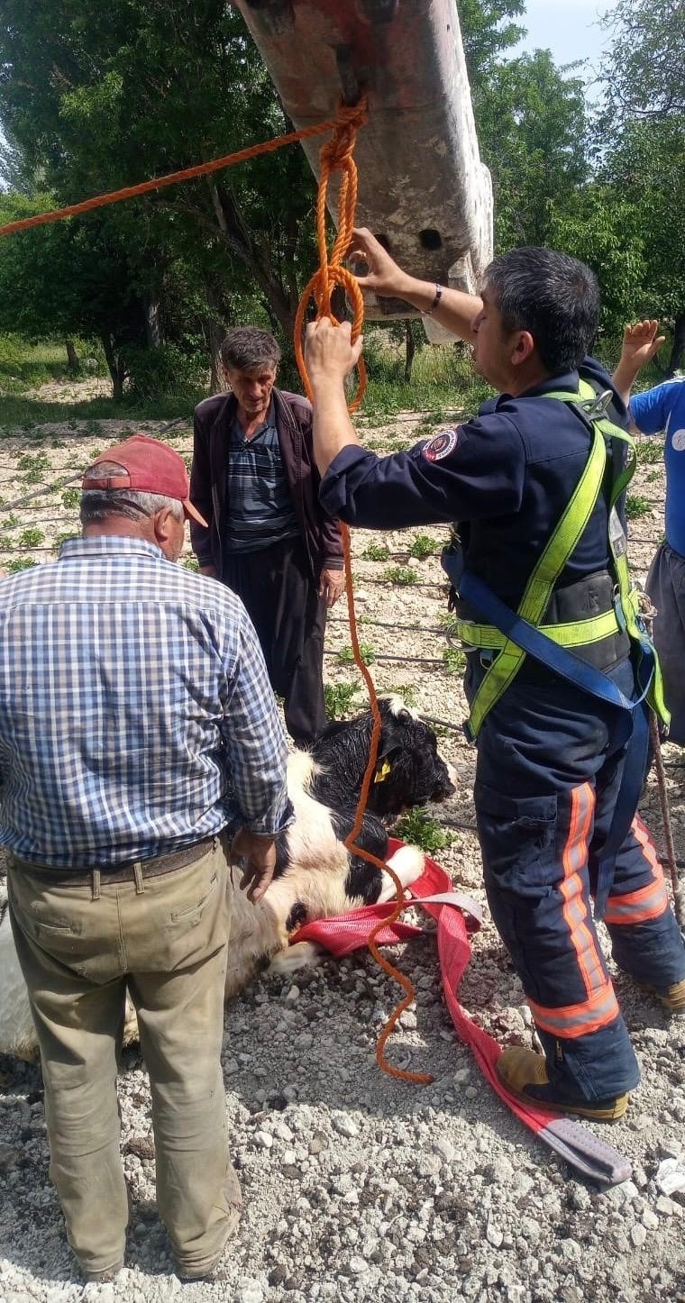 Mersin’de 10 metrelik su kuyusuna düşen danayı itfaiye kurtardı