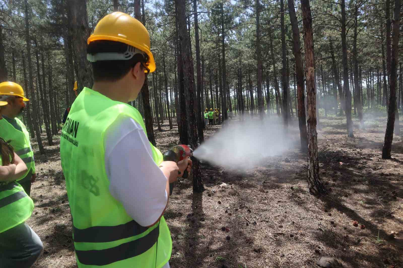 Avrupa Birliği destekli ’İnsan Kaynaklı Orman Yangınları’ tatbikatı gerçekleştirildi