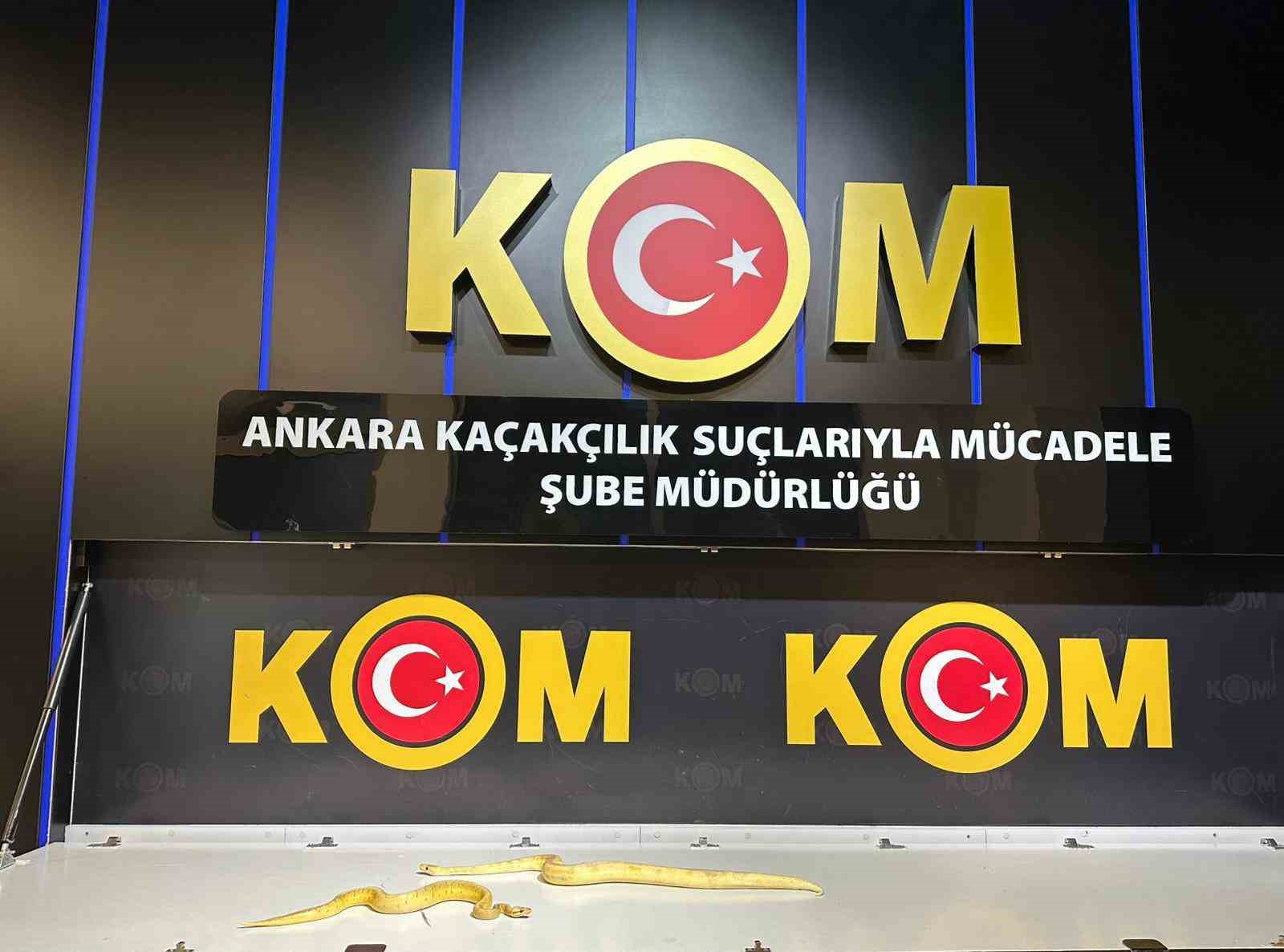Ankara merkezli 5 ildeki operasyonlarda 96 egzotik hayvan ele geçirildi