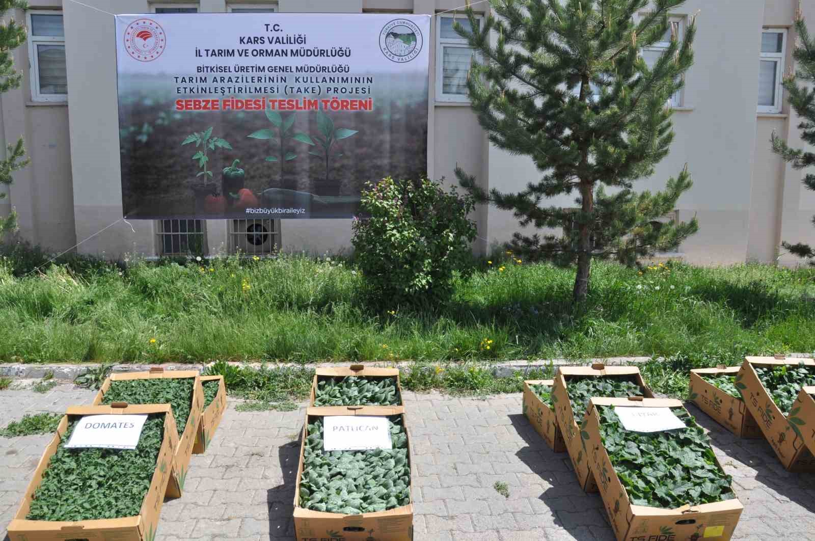 Kars’ta binlerce sebze fidesi dağıtıldı