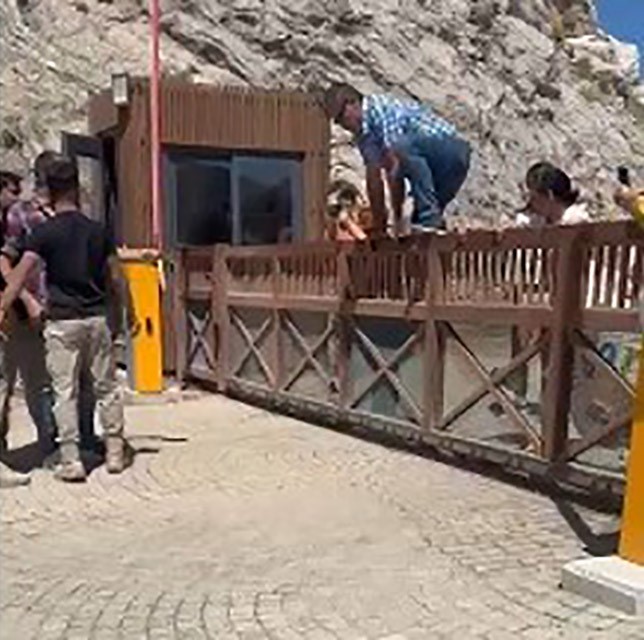 Kızılbük Proje alanına giden çevreciler, güvenlik görevlisini tokatladı