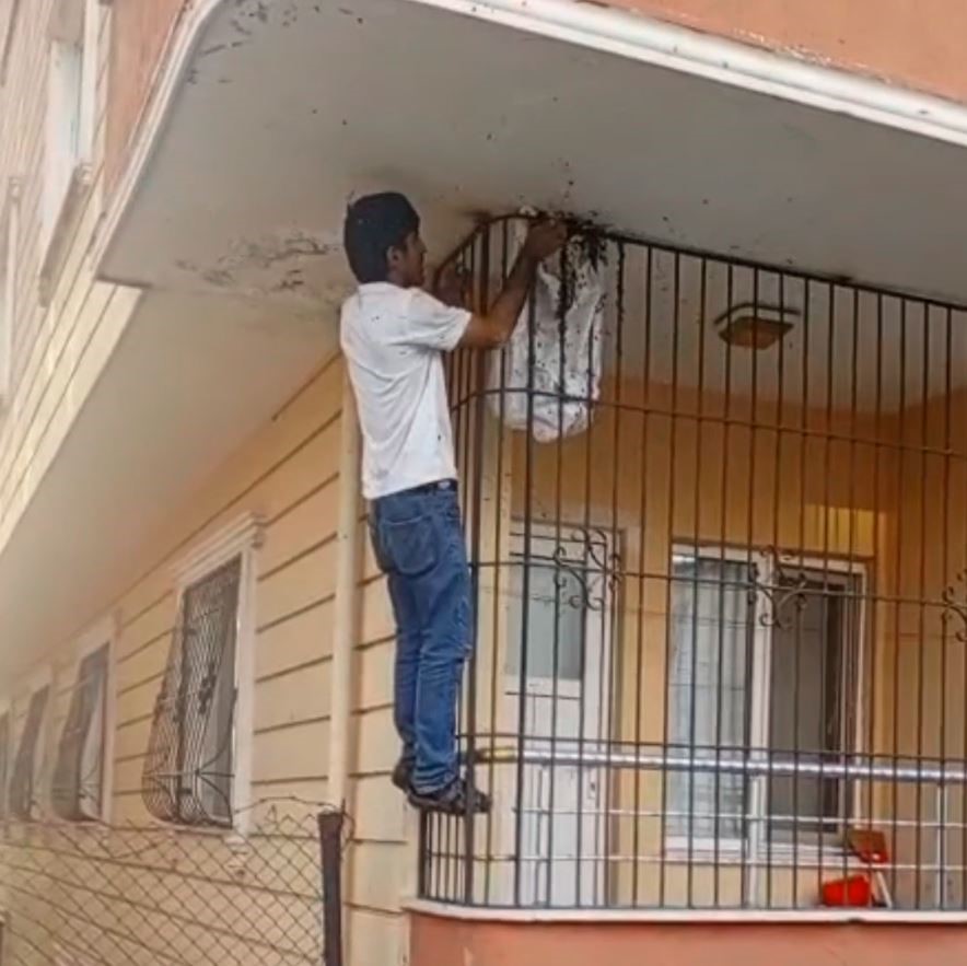 Çıplak elle yüzlerce arının arasına girdi