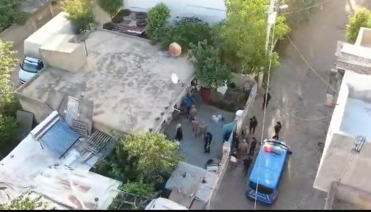 Jandarmanın "Daltonlar" çetesi operasyonunda 3 tutuklama