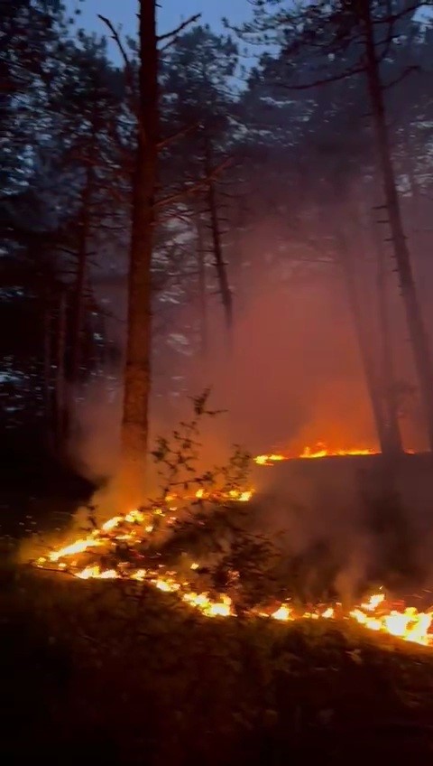 Ormanlık alana düşen yıldırım yangına neden oldu