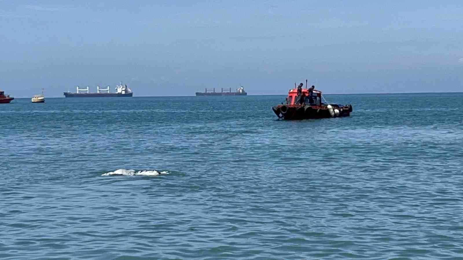 Akdeniz’de kameralara balık değil angus yakalandı