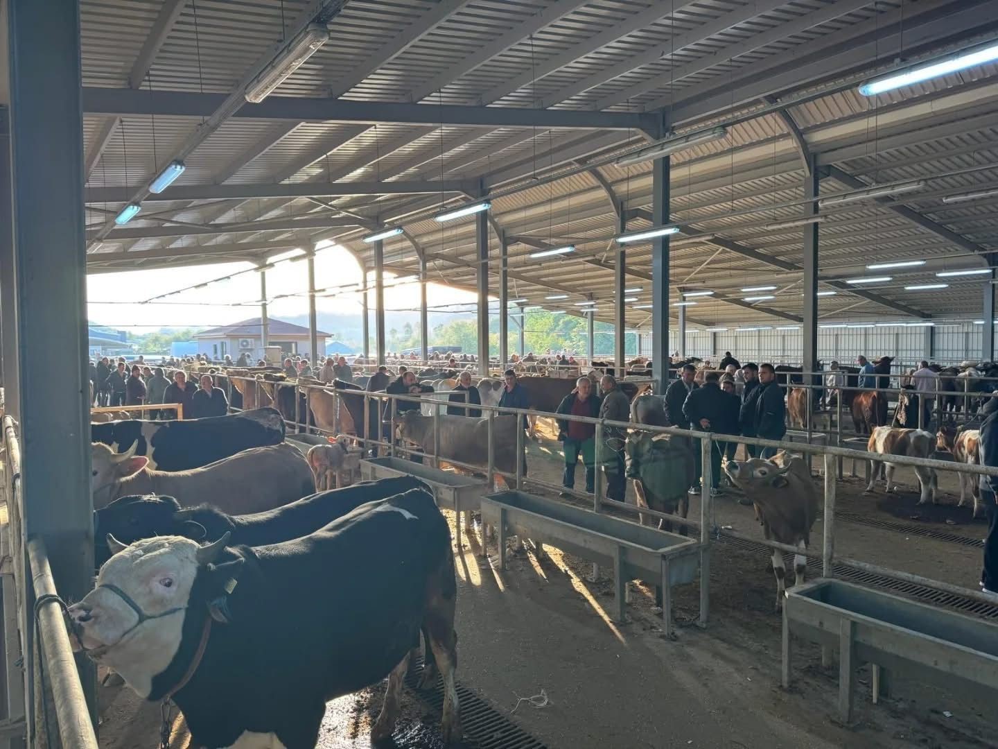 Kurban Bayramı öncesi hayvan pazarlarına denetim