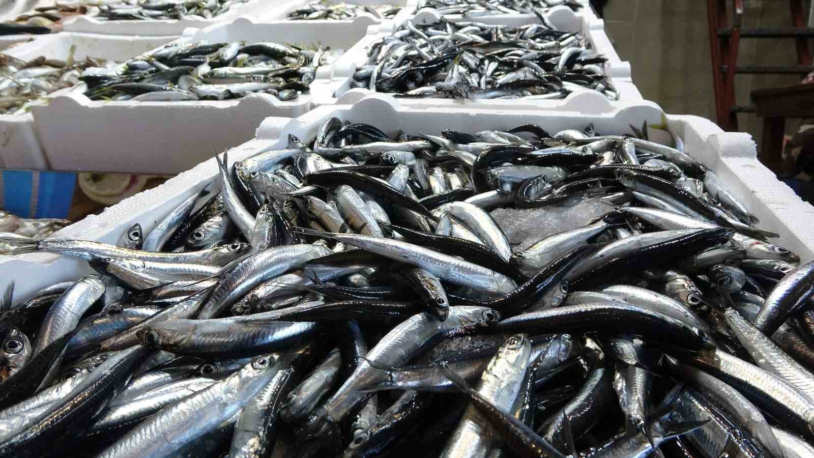 Karadeniz’de balık stokları azalıyor