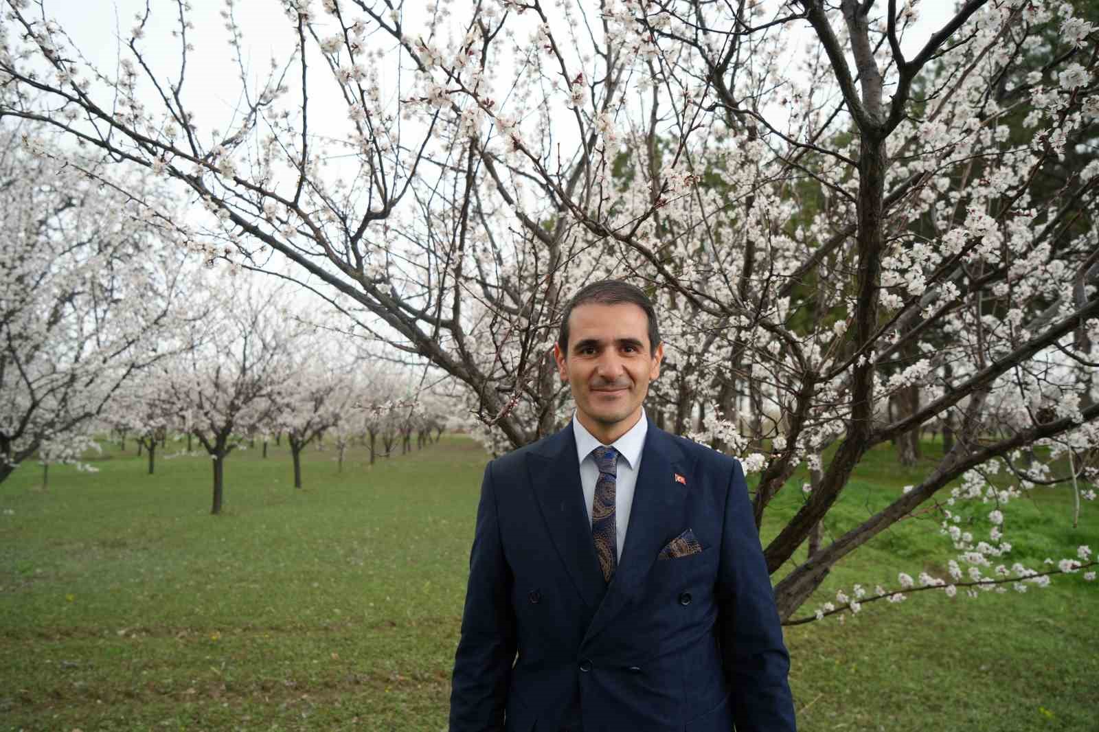 Erzincan b&ouml;lgenin fidan ihtiyacını karşılıyor
