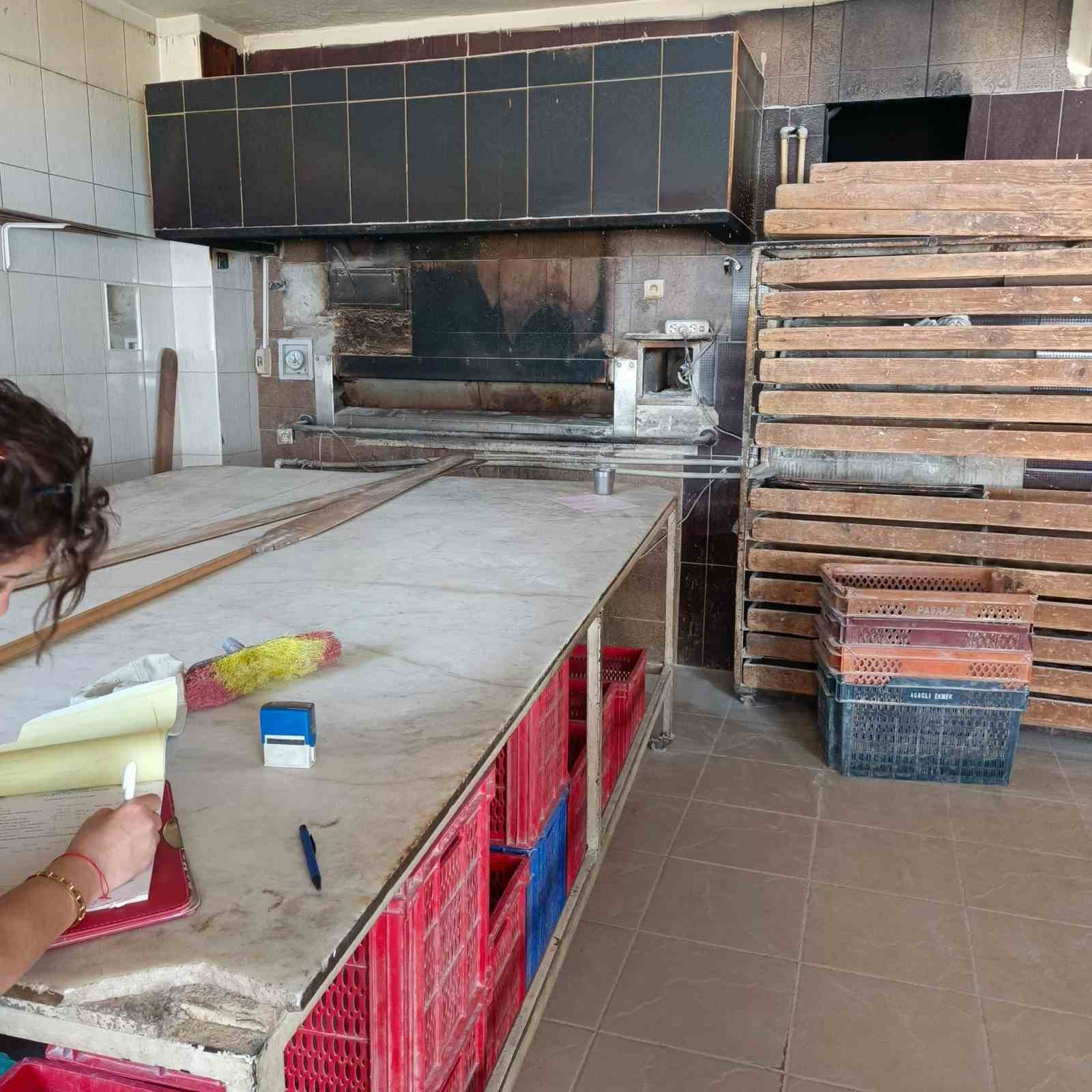 S&ouml;ke&rsquo;de riske dayalı gıda işletmeleri denetlendi
