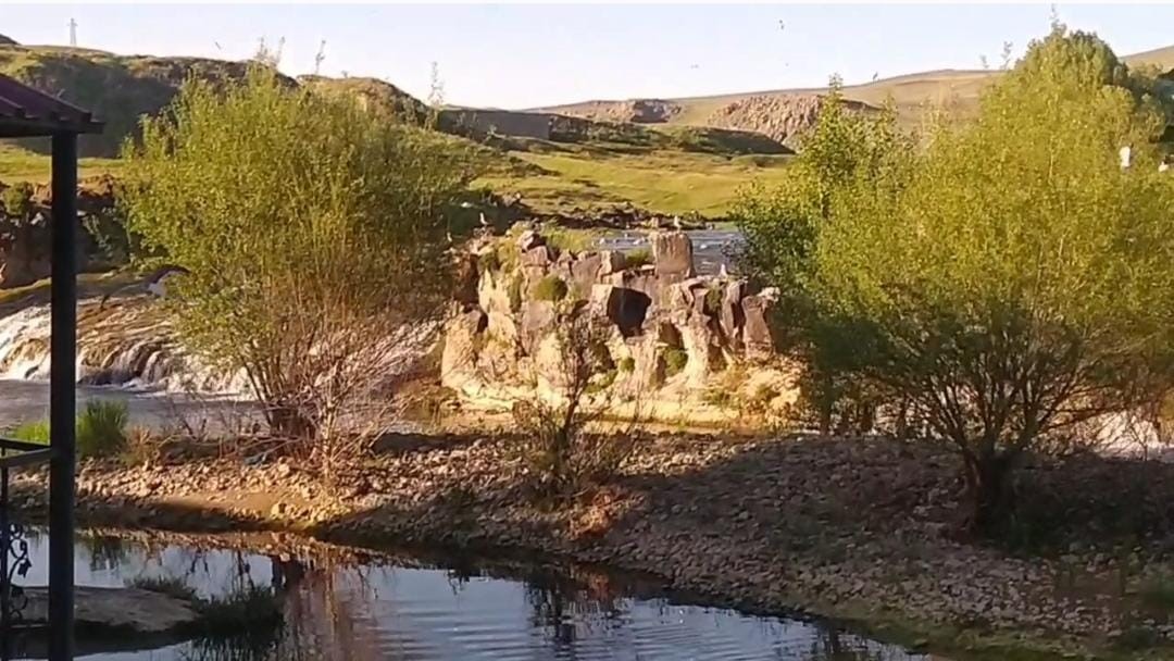 İnci kefalinin göçü yerli ve yabancı turistlerin ilgi odağı oldu
