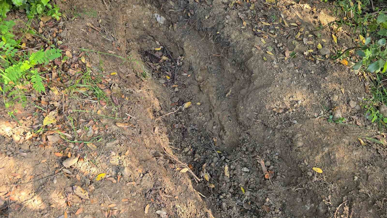 Ailesinin kayıp ihbarı cinayeti ortaya çıkardı