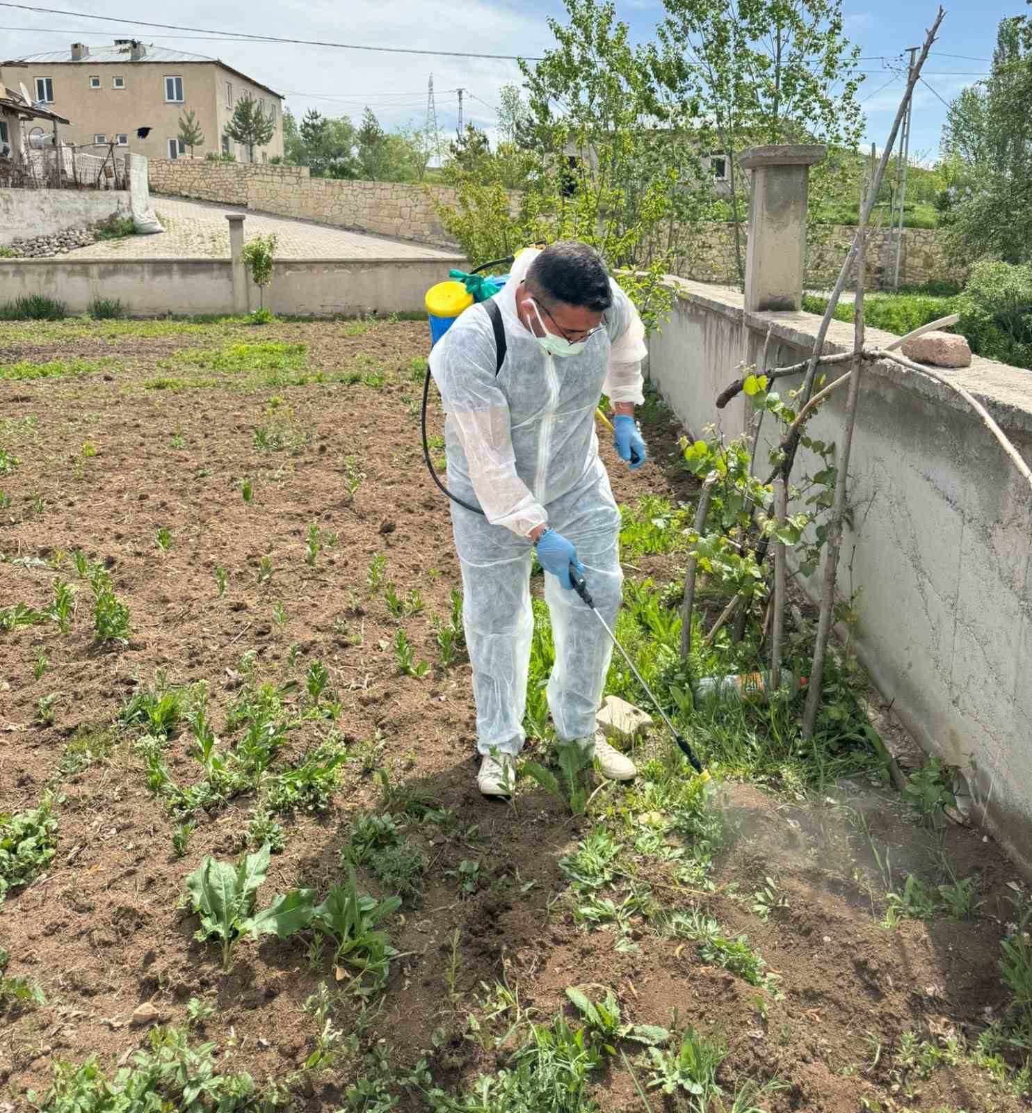 Aydıntepe’de yabancı ot mücadelesi başlatıldı