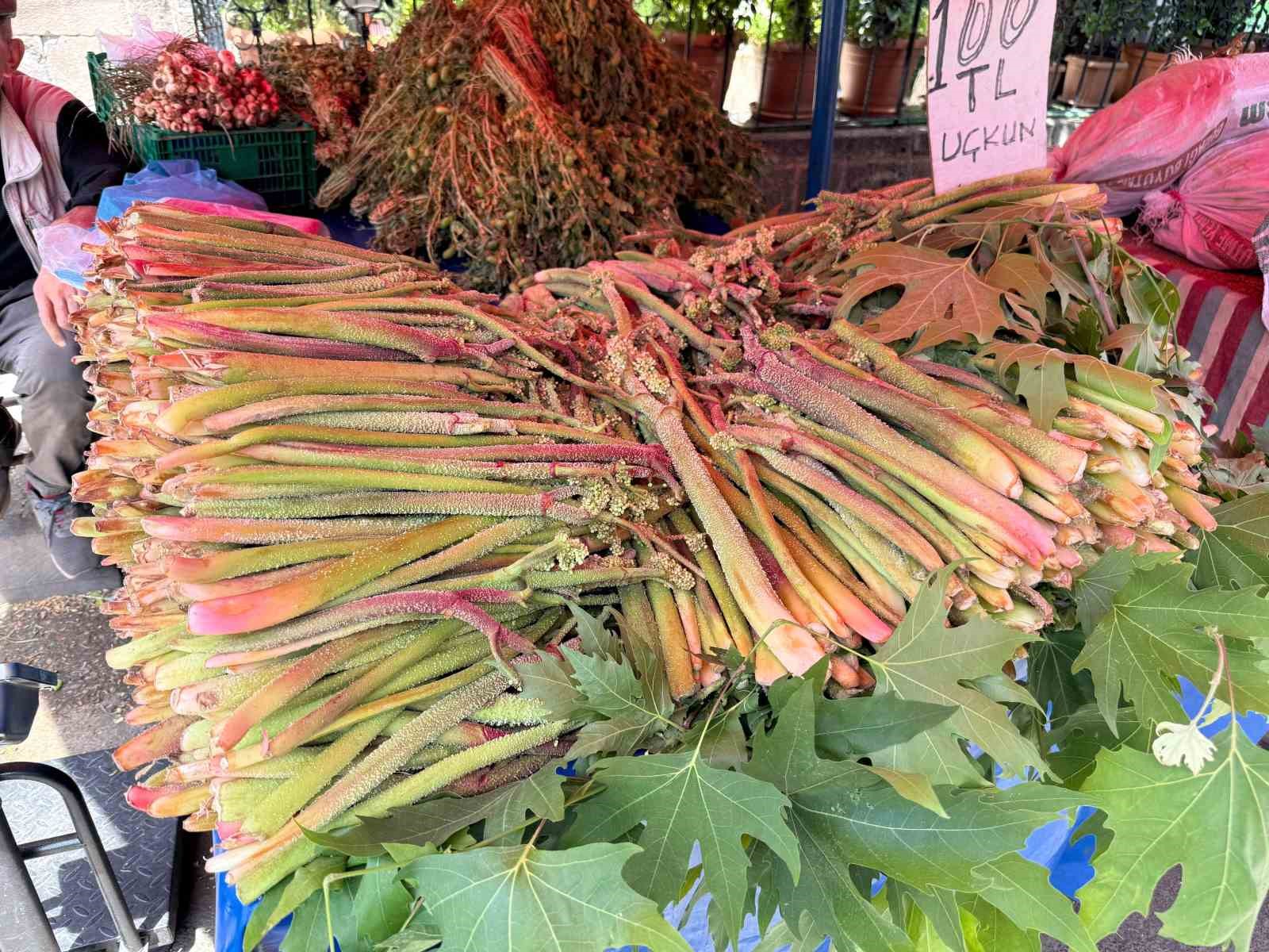 Bu bitki doğal şifa kaynağı
