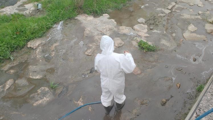 Yaz mevsimi &ouml;ncesi sağlıklı &ccedil;evre
