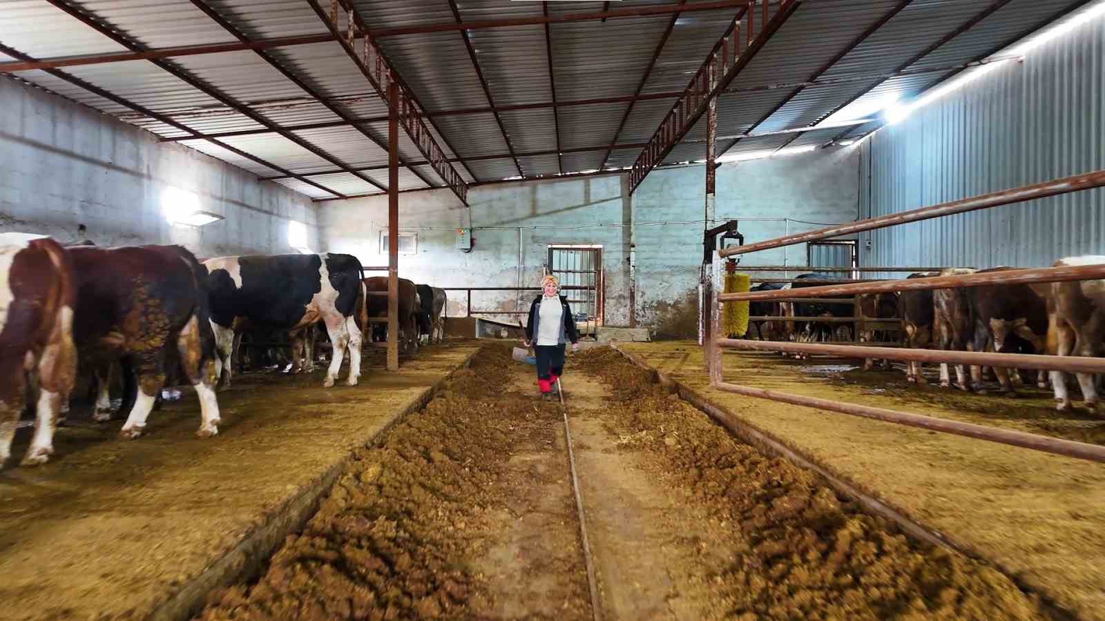 Kadınsın yapamazsın dediler, çiftlik kurdu