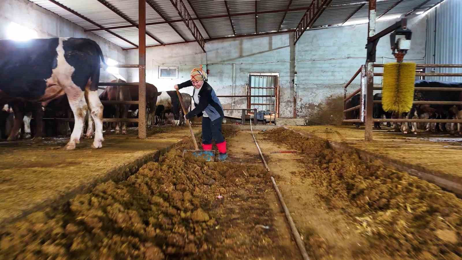 Kadınsın yapamazsın dediler, &ccedil;iftlik kurdu
