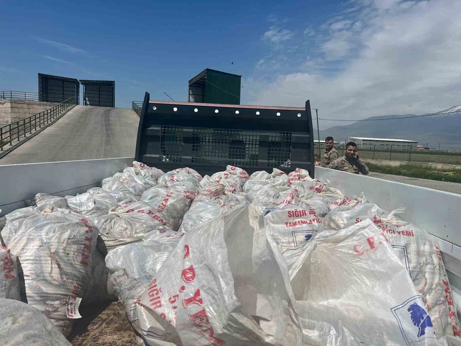 Ağrı’da 2 ton kaçak inci kefali ele geçirildi