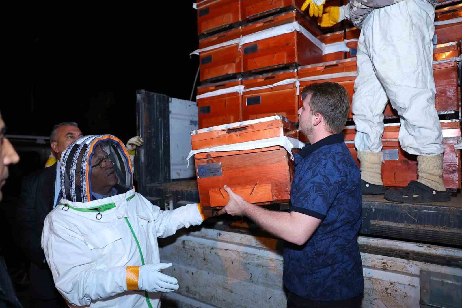 Büyükşehir, tescilli bal üreticilerine 60 adet damızlık ana arı desteği verdi