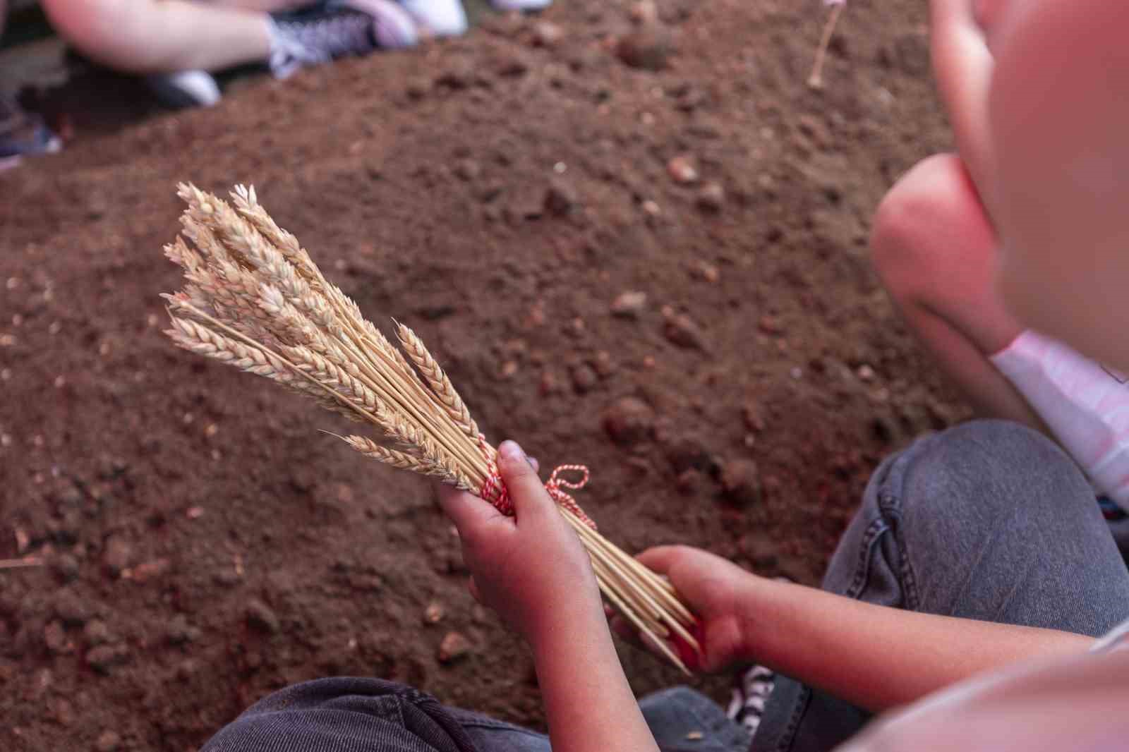 Mersin’de yerel ve atalık tohumlar gelecek kuşaklara aktarılıyor