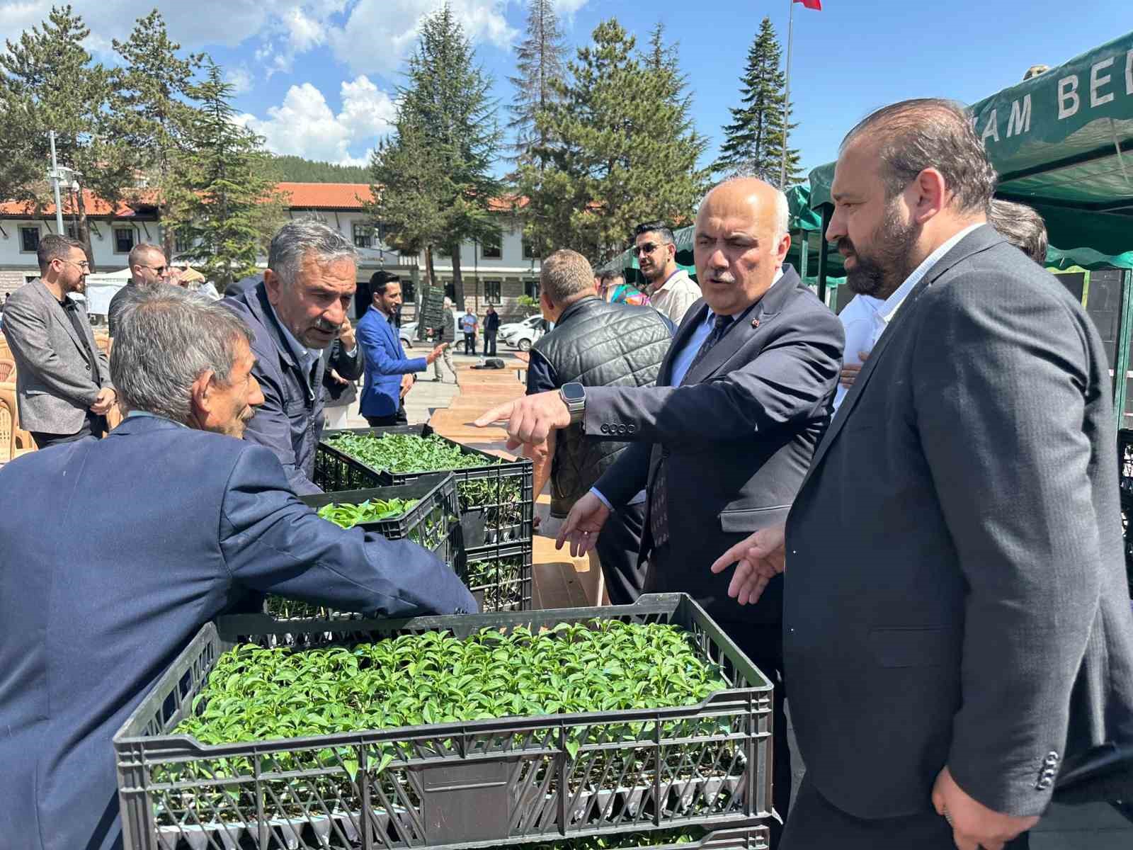 Kızılcahamam Belediyesi’nden üreticilere fide desteği