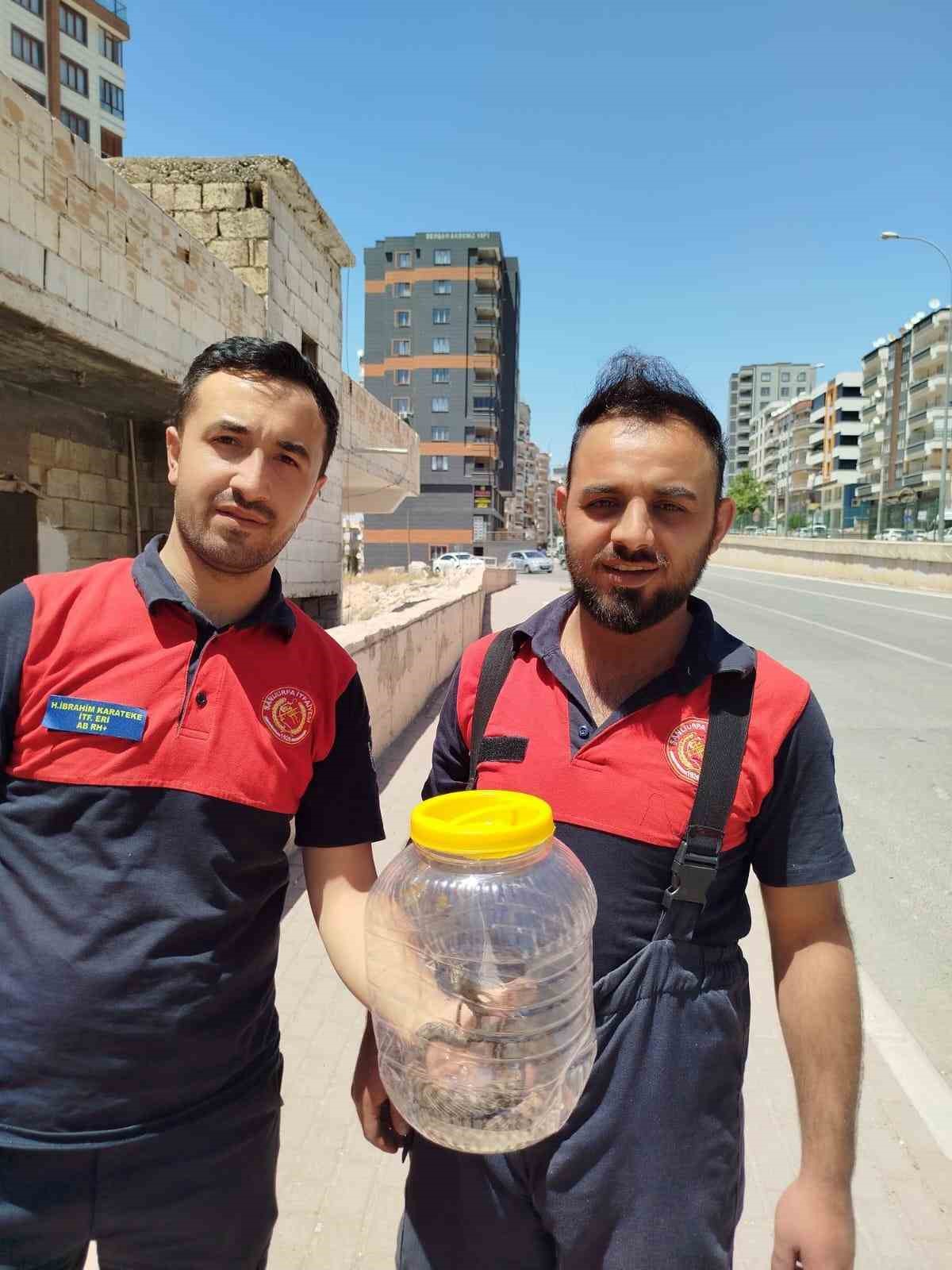 Mutfakta görülen yılan, paniğe neden oldu