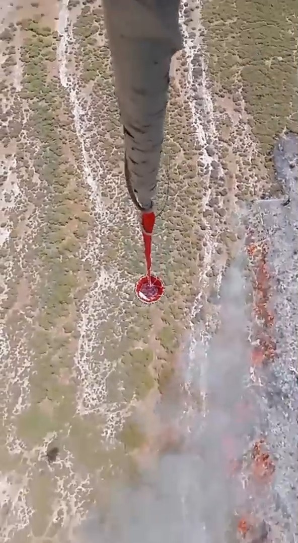 İzmir Fo&ccedil;a&rsquo;da tarım arazisinde başlayan yangın ormana sı&ccedil;radı
