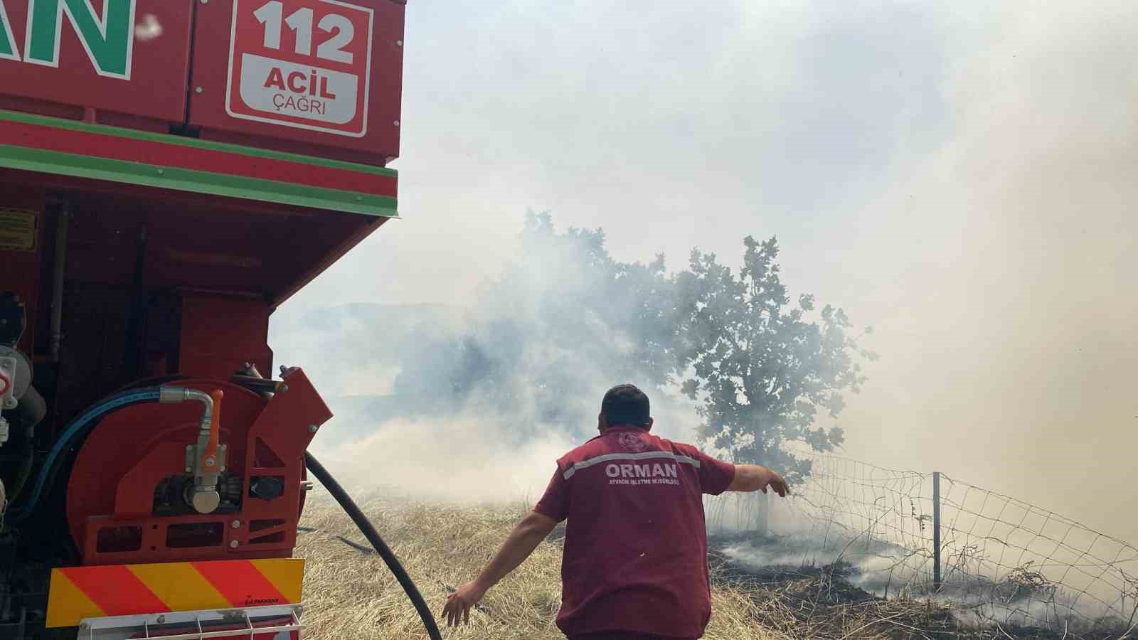 Çanakkale’deki orman yangını kontrol altına alındı