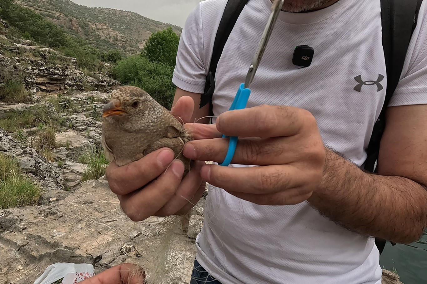 Cehennem Deresi’nde kum kekliği operasyonu