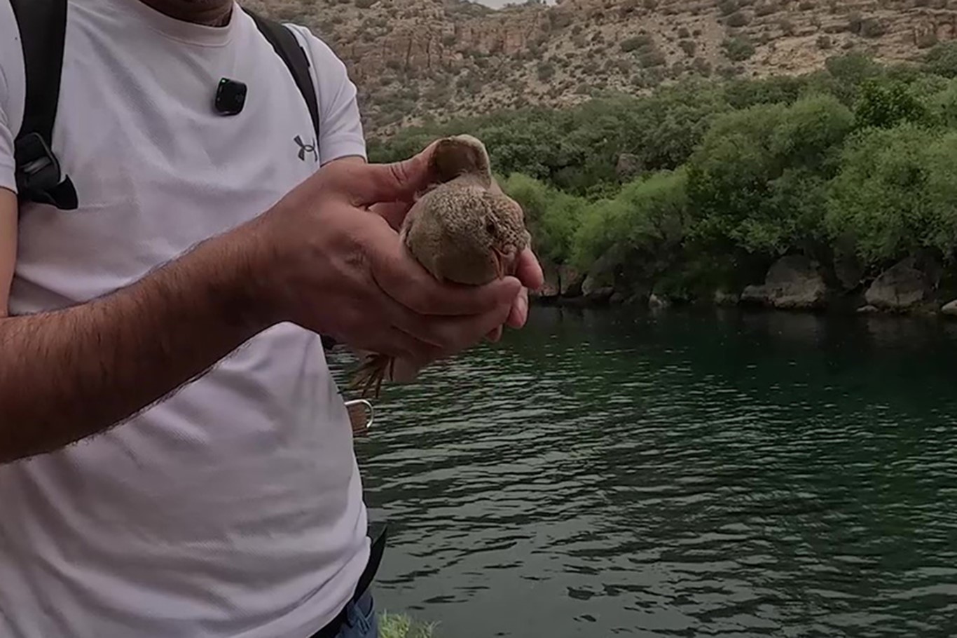 Cehennem Deresi’nde kum kekliği operasyonu
